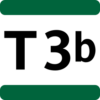 T3b